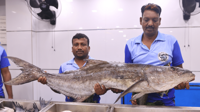 BHK fish mall Ganesh peth Hubli