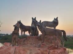 Hubli Tourist Places: 7 Must-Visit Tourist Spots Near Hubli Tolankere Hubli