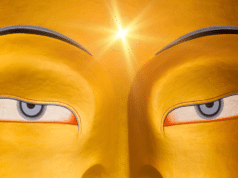 Mahashivratri 2025: The Night That Awakens Your Third Eye and Transforms Your Destiny Mahashivratri